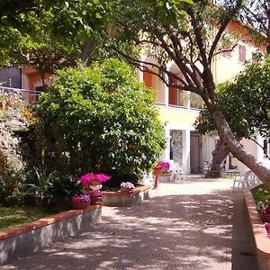Orchidea Finale Ligure